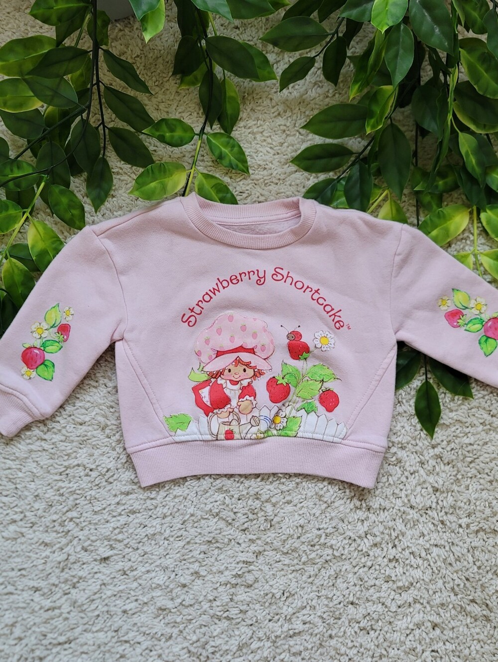 Baby Girl Strawberry Shortcake Sweater (9-12 Months)